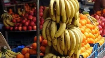 قائمة أسعار الفاكهة: ارتفاع سعر البرتقال وتراجع تكلفة الجوافة والفراولة في الأسواق